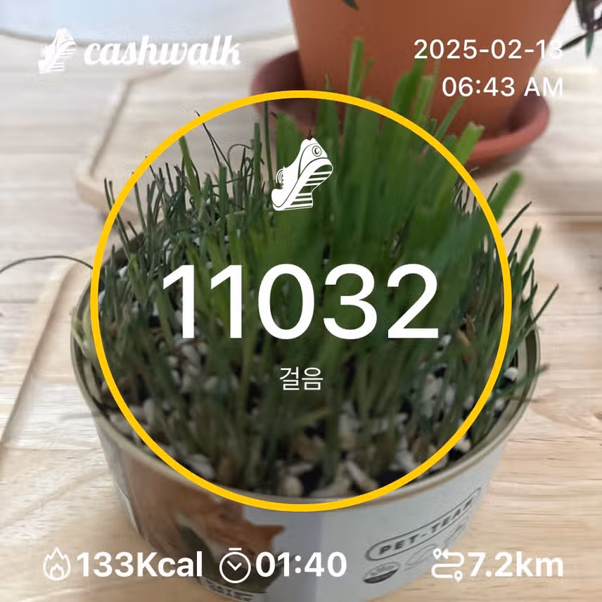인증