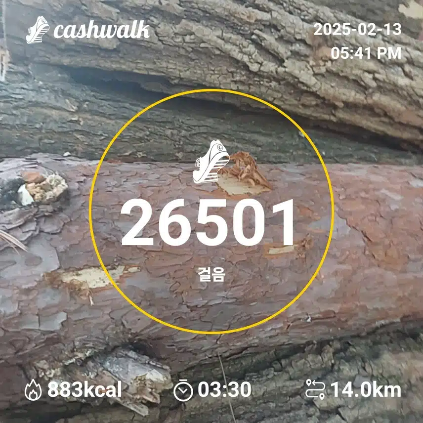 인증