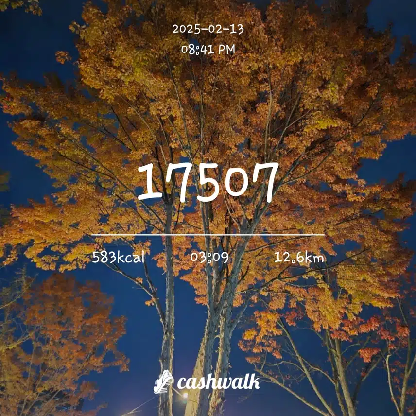 몬타 요술뚝배기 하루 7천보 4일차 인증