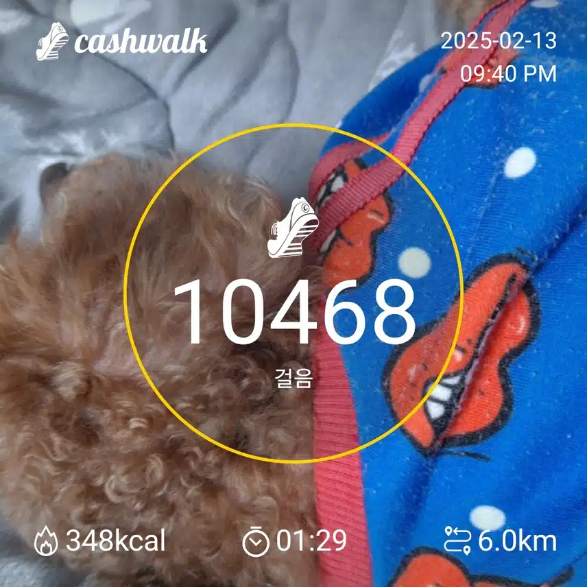 인증