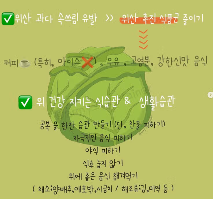 식이섬유가 풍부한 양배추토스트