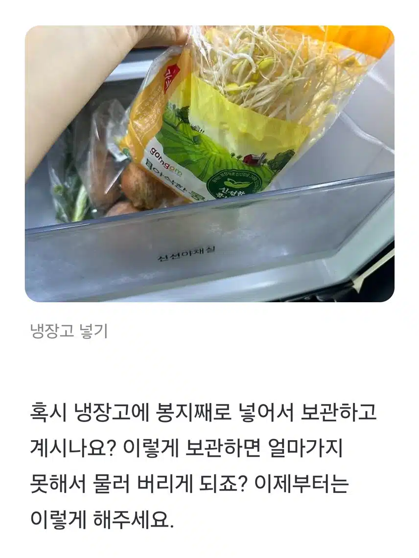 (생활의 지혜) 콩나물 아직도 그냥 냉장고에 보관하세요❓️