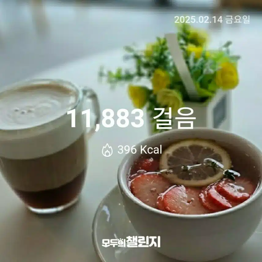 2월 14일 만보 완주 