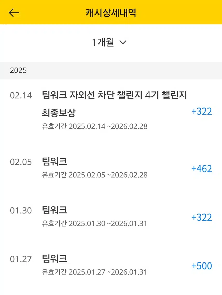 캐시 자동적립 