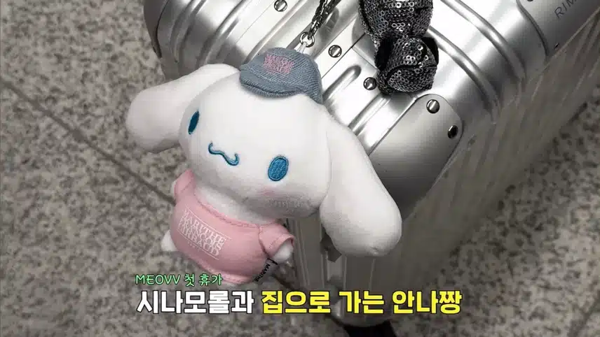 Anna Miao loves cinnamoroll