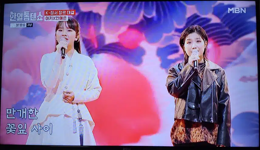 안예은님의 화상귀환 ost 만개화 정말 감동적인 무대였어요