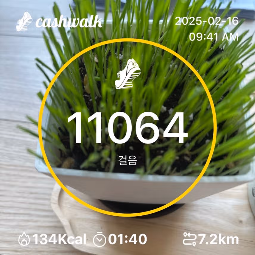 인증