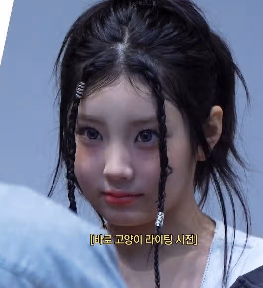 제대로 고양이라이팅하는 원희ㅋㅋ