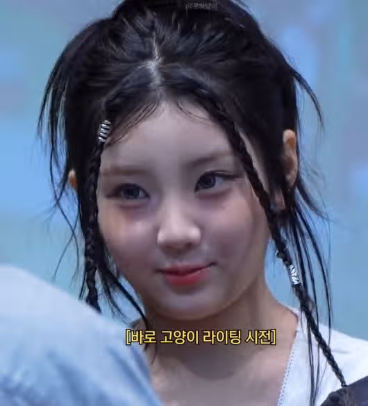 제대로 고양이라이팅하는 원희ㅋㅋ