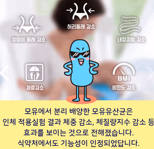 유산균.. 아토피부터 다이어트 까지 좋은데요!