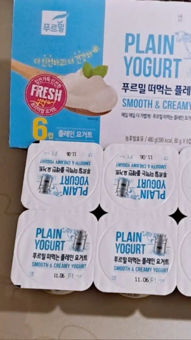 인생 다이어트 ((플레인요거트))