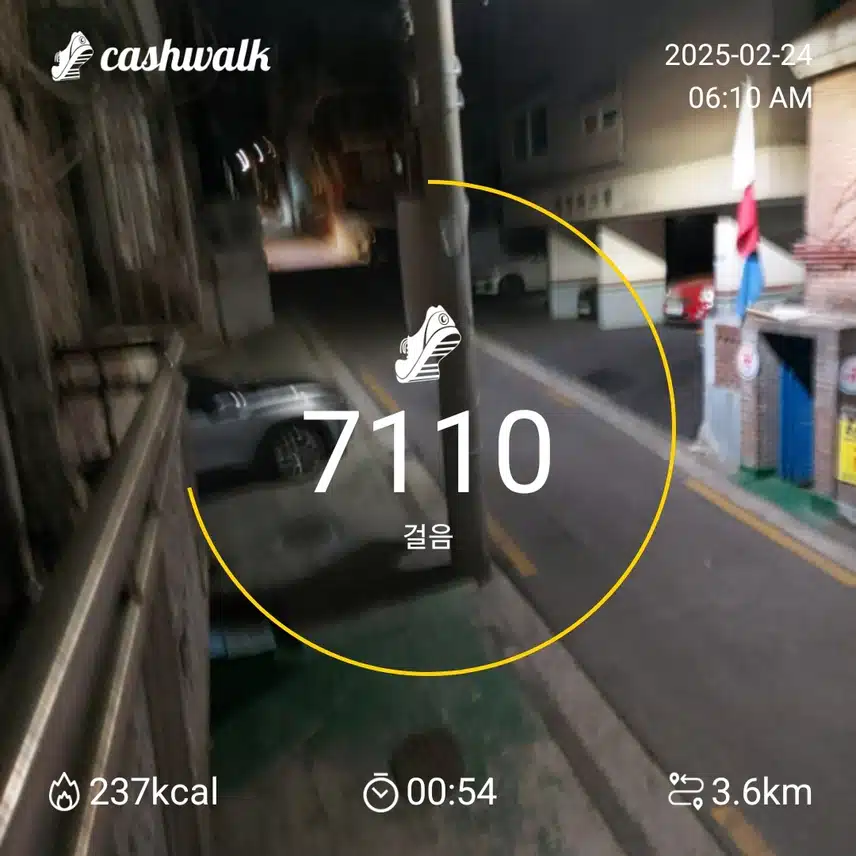 5000보 걷기