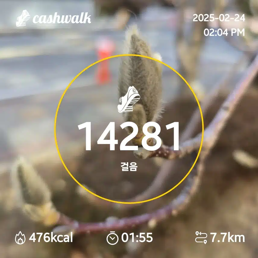 인증