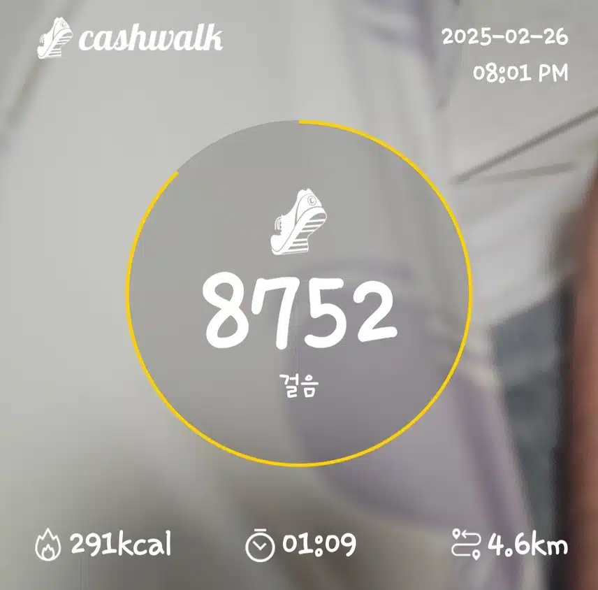 인증