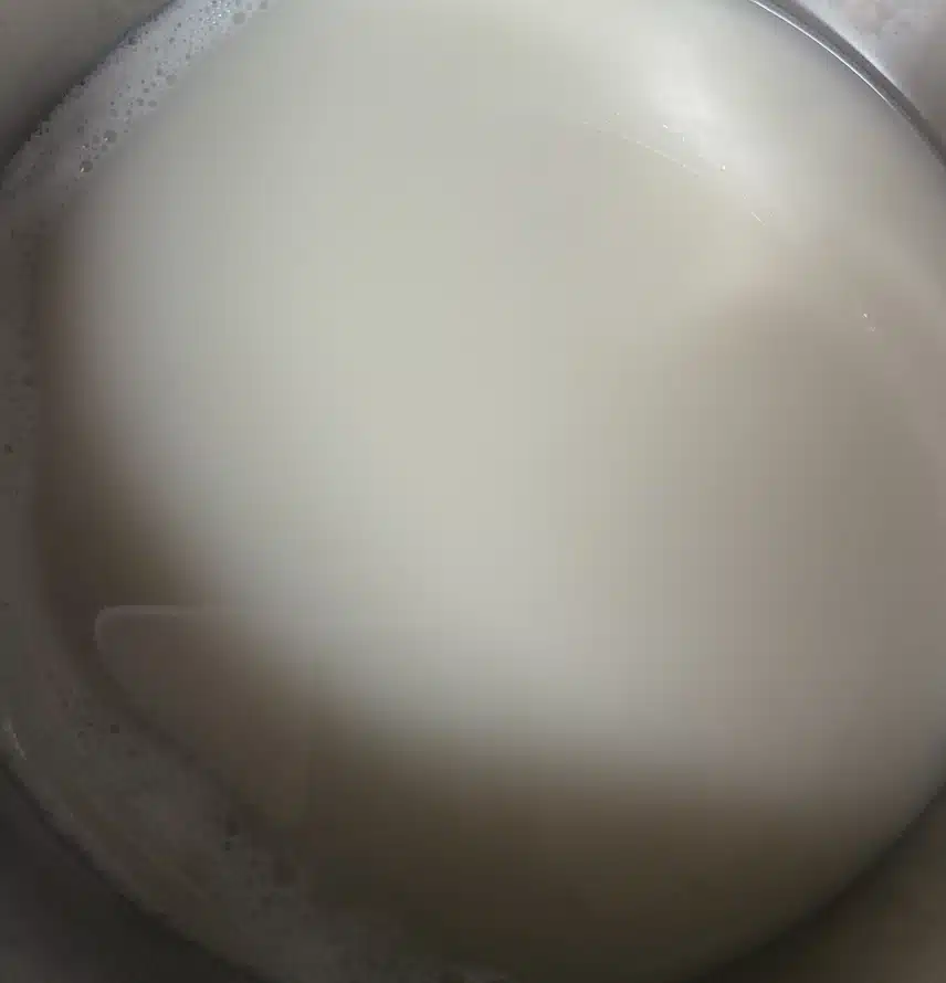 🐂한 숟갈도 남기지 않네요. ㅡ곰탕 푹 고았어요..
