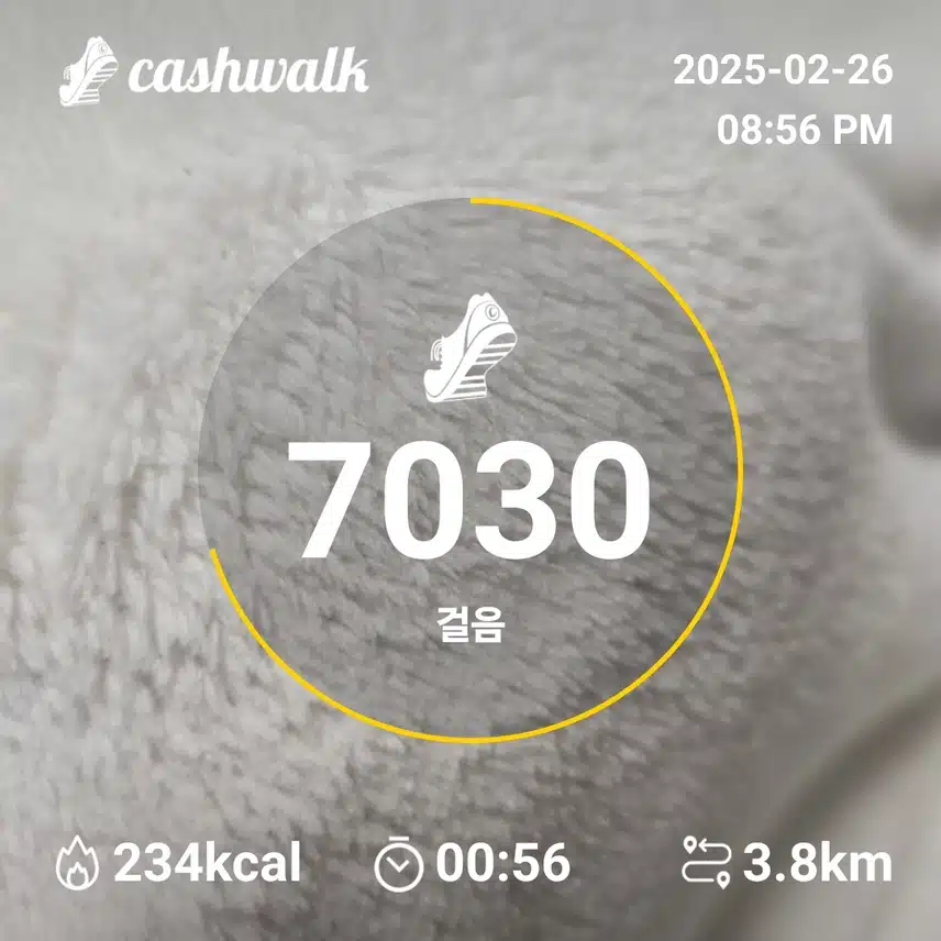 인증