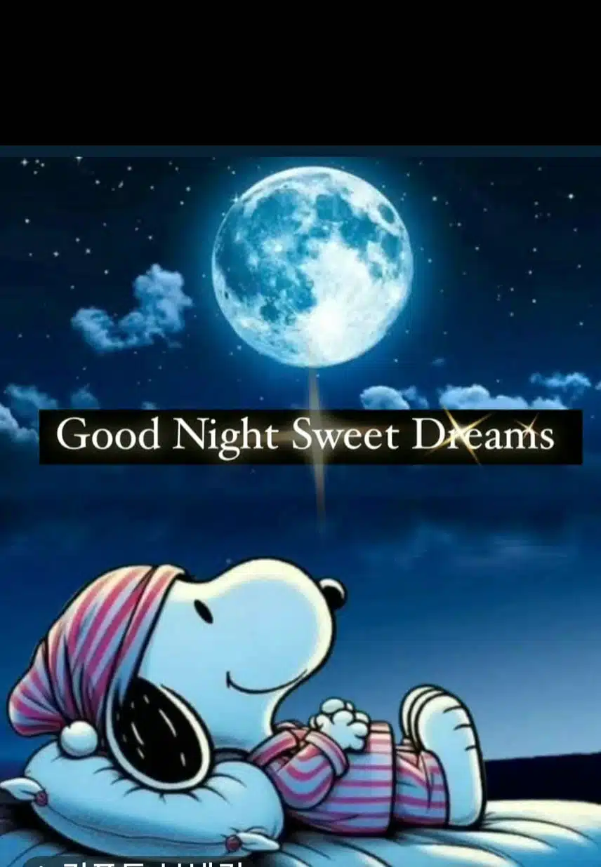 Good noght.