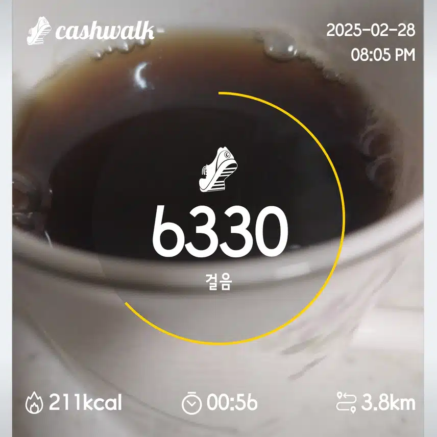 4일차