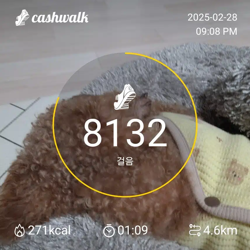인증