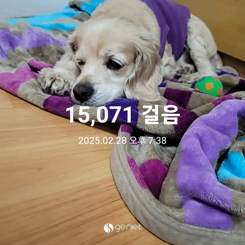 금요일 마무리