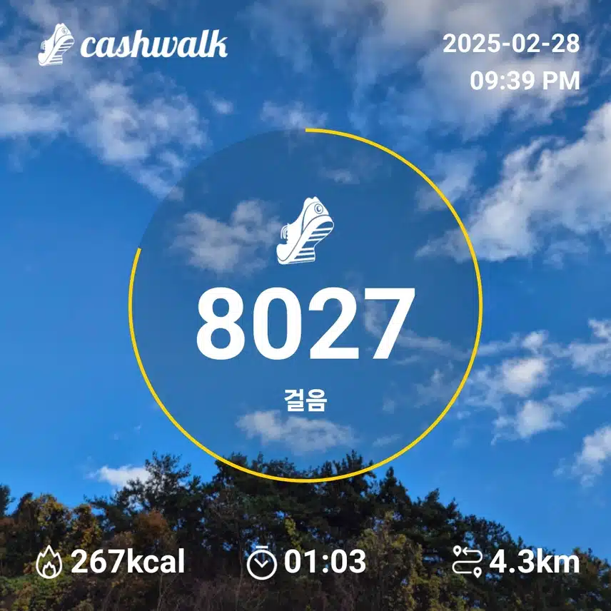 인증
