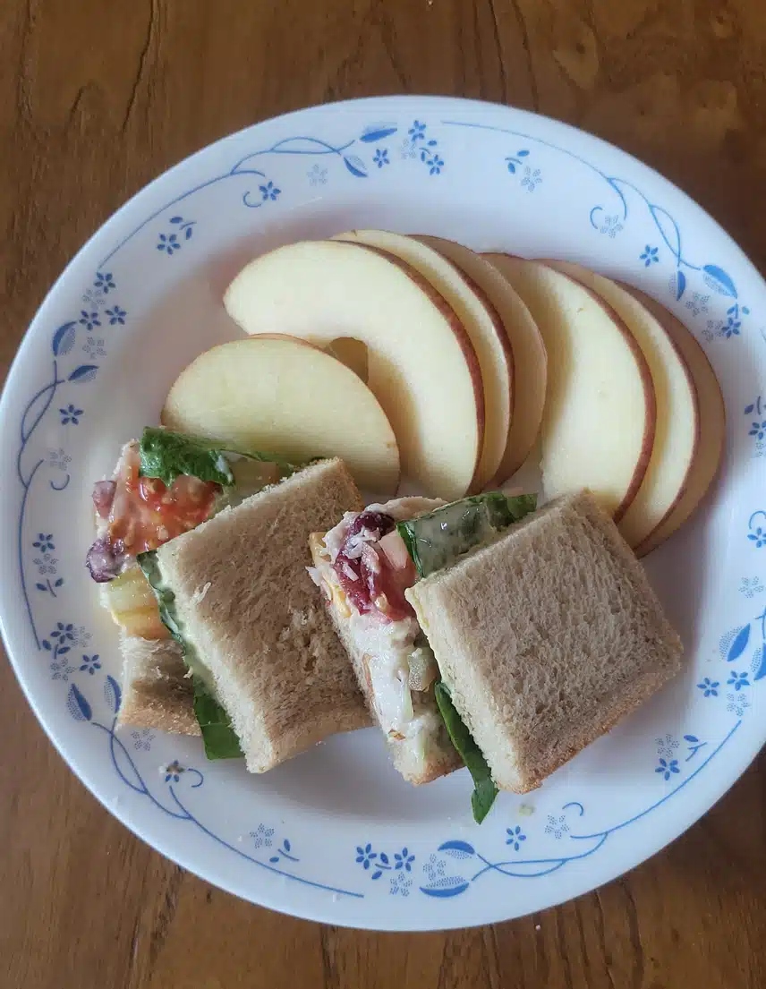 🥪🍎닭가슴살과 견과류 넣은 샌드위치와  커피 한 잔 ☕️