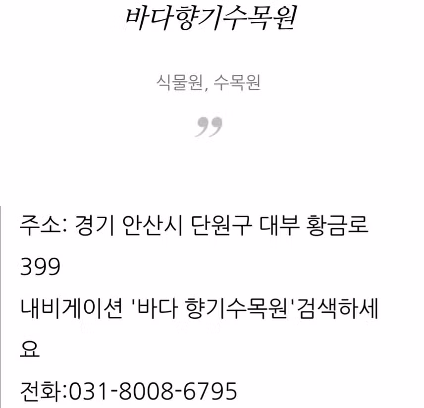 대부도 바다향기수목권 벚꽃 명소에요