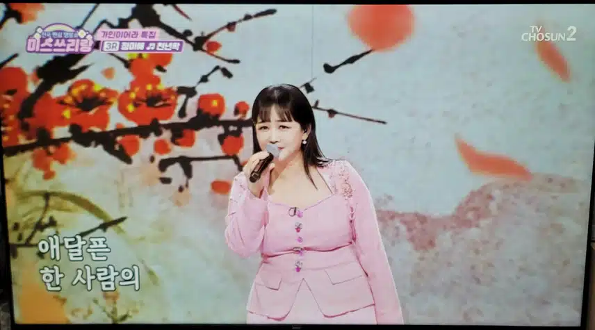 정미애님 가창력 표현력이 최고시네요