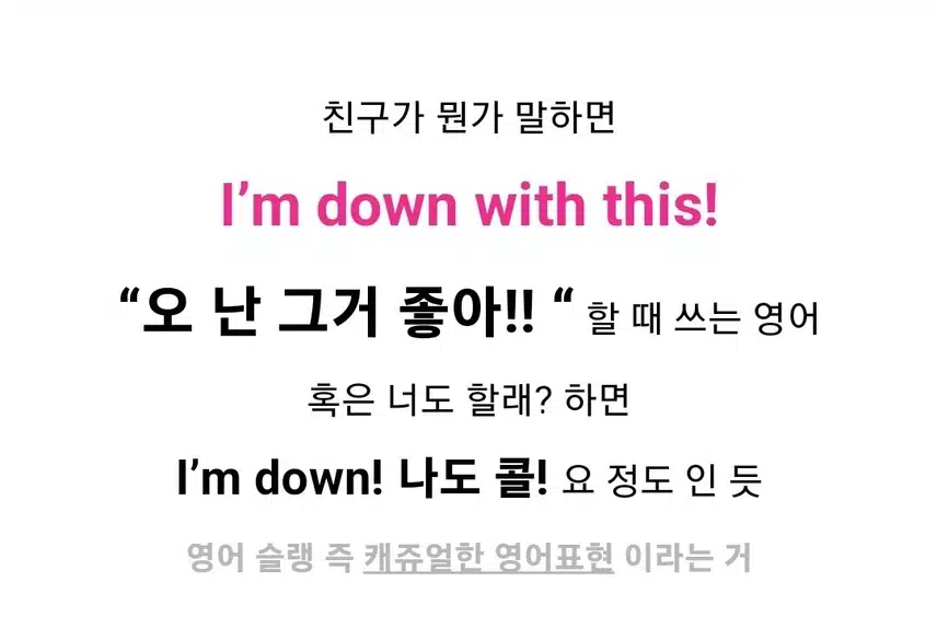 틈새 공부 📖 