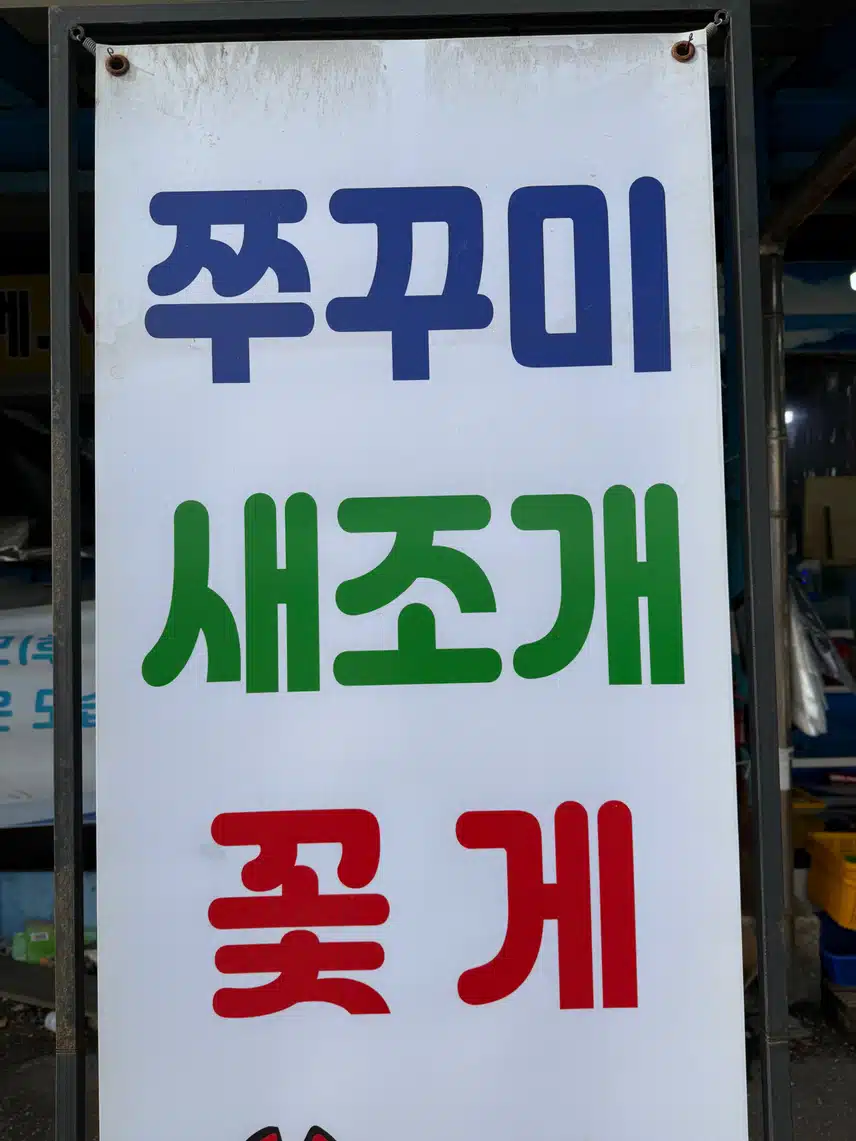 쭈꾸미 제철 이래요