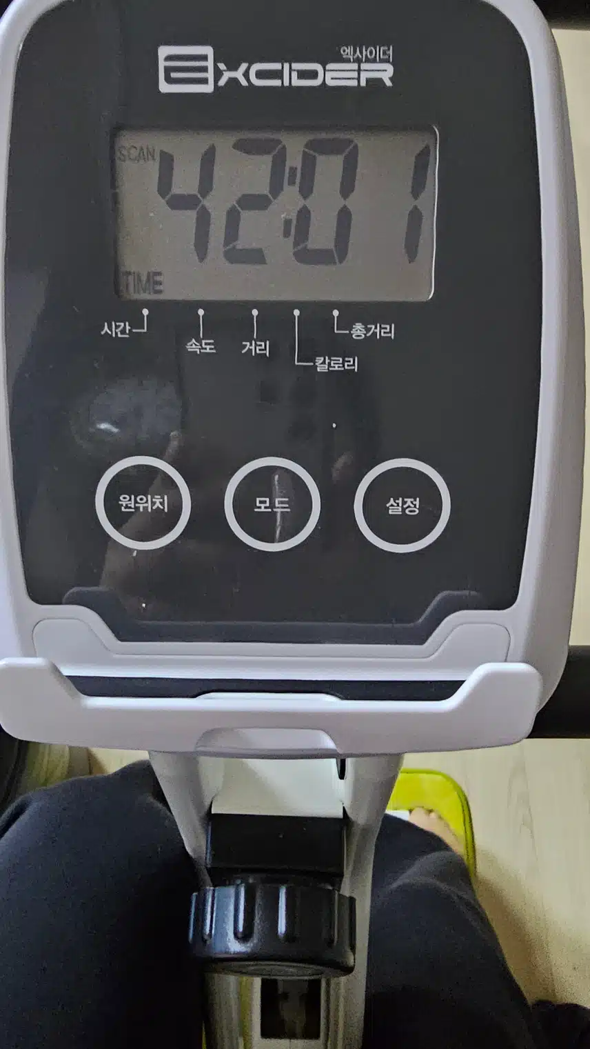 실자 탔어요