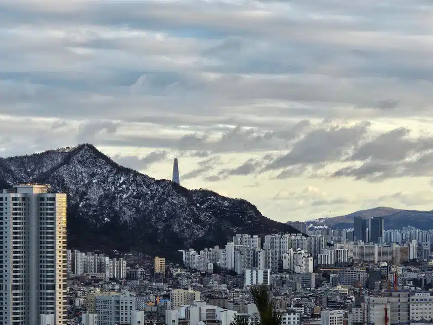 날이 맑아서 산에 다녀왔어요