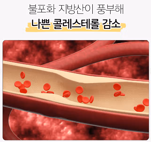 ✨ 땅콩버터 효능 알고 가시죠~