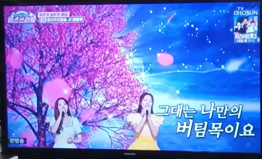 정슬 정서주님의 버팀목 무대 너무 이쁘고  감동이에요