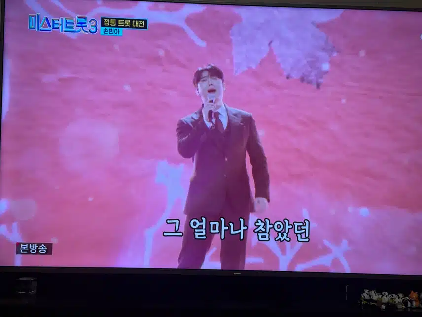 정통트롯대전 손빈아-마지막잎새