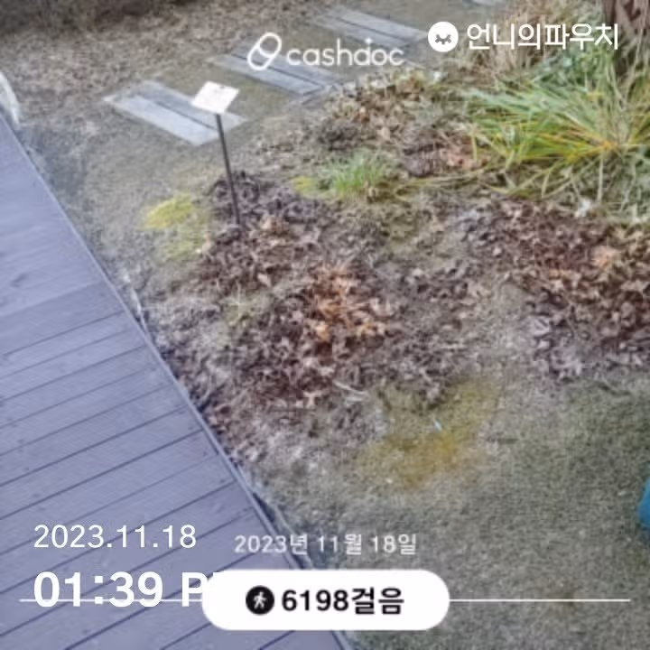 일단 6천보 걸어줬어요
