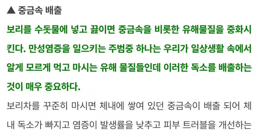 봄에는 보리차 꾸준히 마셔야겠어요