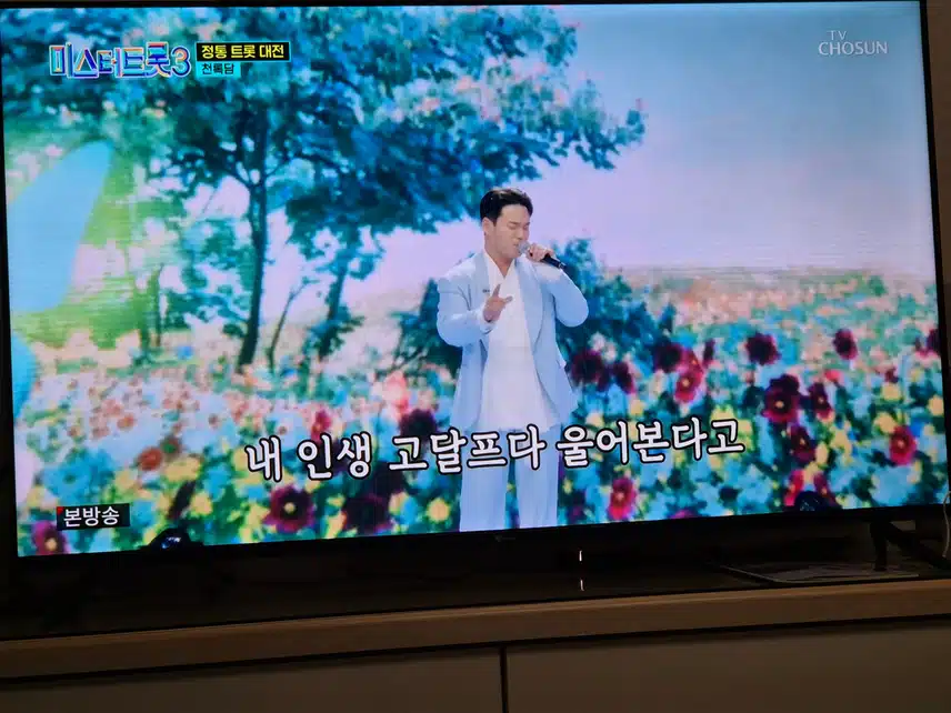 다시 시작한 트롯여행에서 진에서 바닥까지쳤지만 다시일어서네요