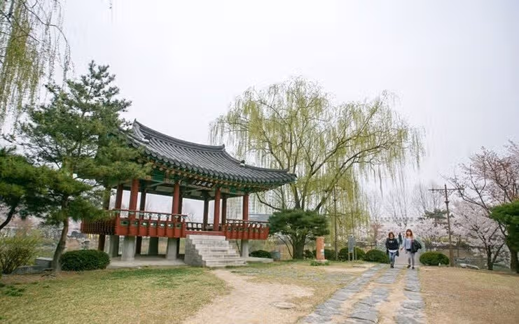 🌸 이천의 벚꽃 명소 안흥지 애련정 소개해드려요