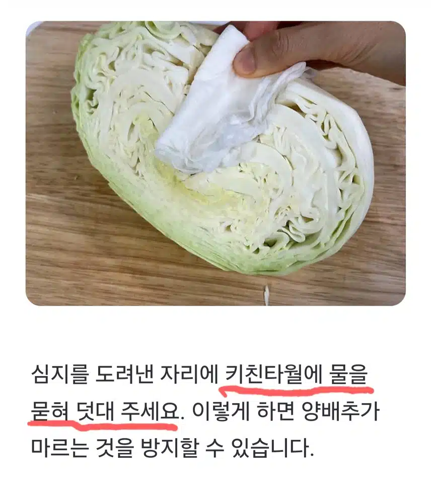 🔓(생활의 지혜) 양배추 이렇게 보관하세요