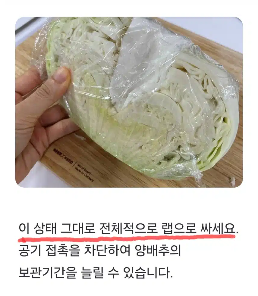 🔓(생활의 지혜) 양배추 이렇게 보관하세요