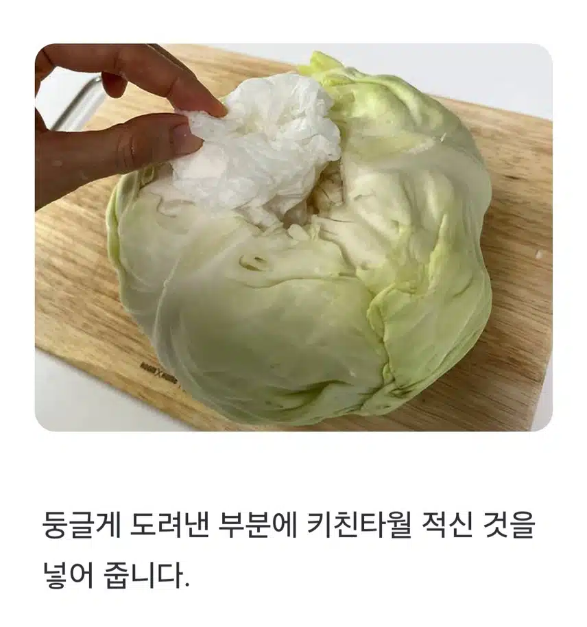 🔓(생활의 지혜) 양배추 이렇게 보관하세요