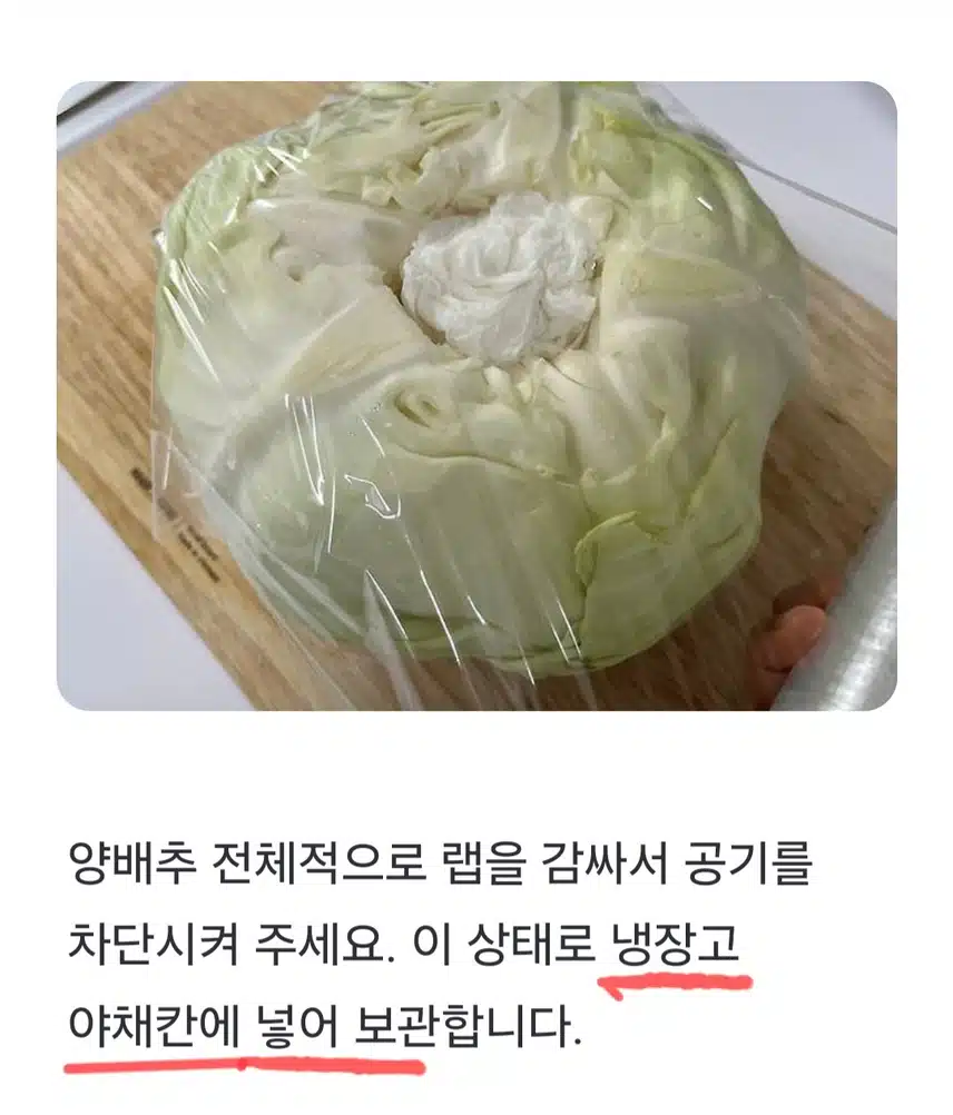 🔓(생활의 지혜) 양배추 이렇게 보관하세요