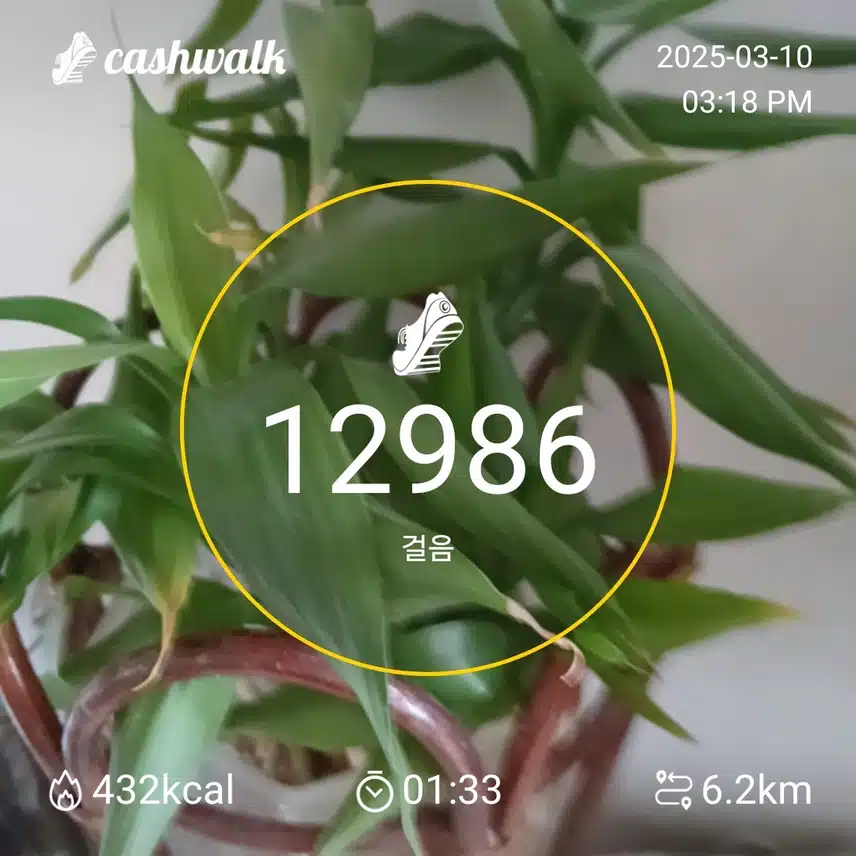 인증 