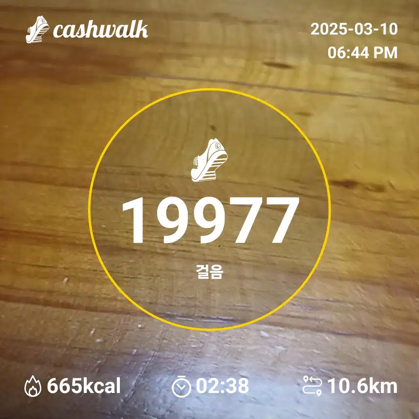인증