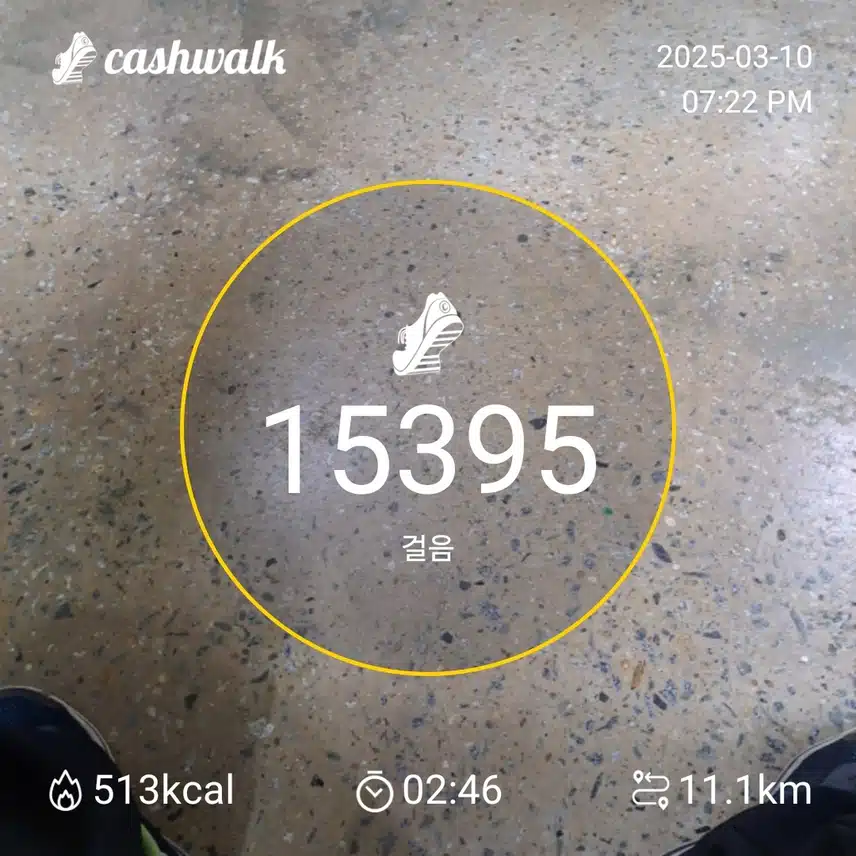 인증 