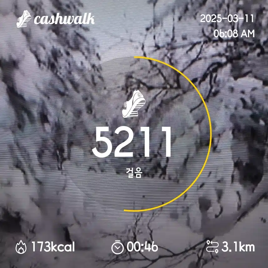 2일차 