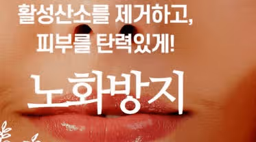 🍅 단감 샌드위치