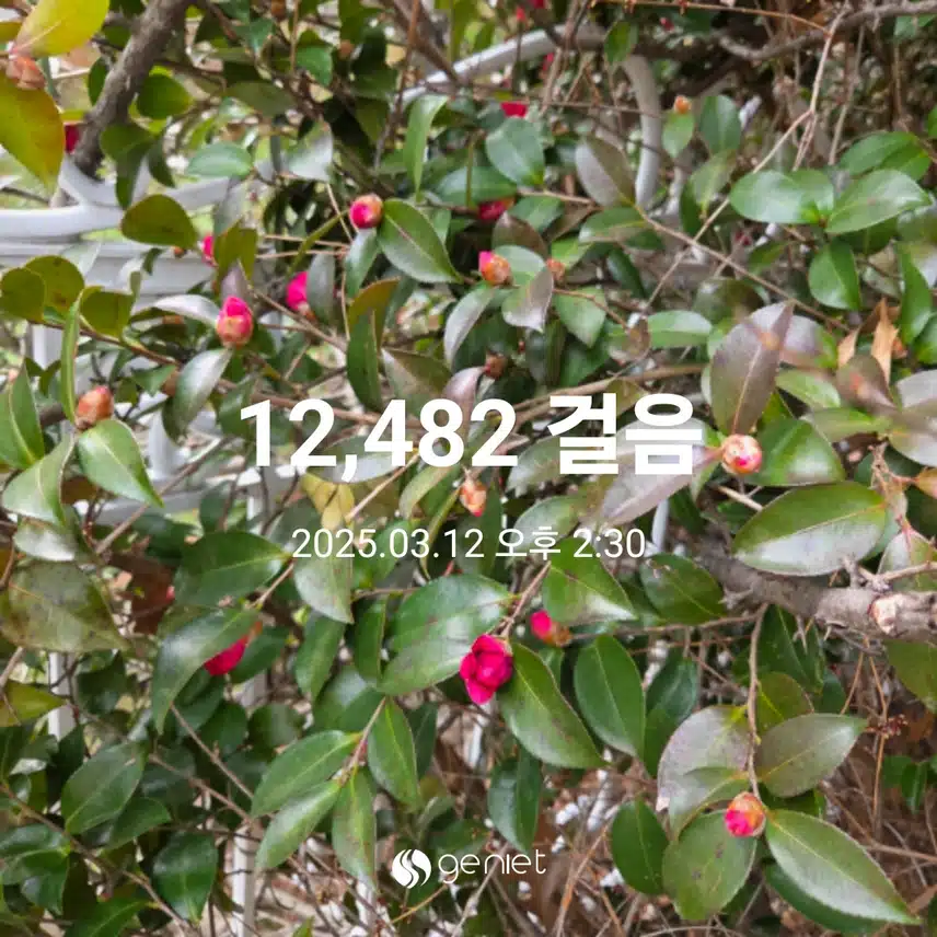 만이천보 걸었어요 