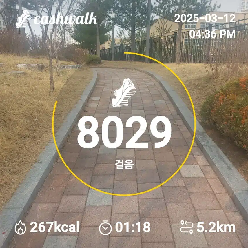 인증